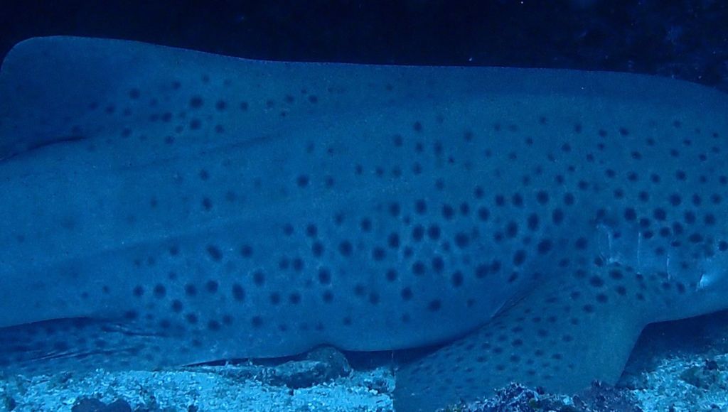 e13b6e51-0224-49cb-b80e-e9e92a43ae94