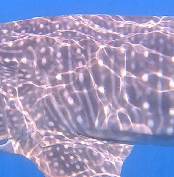 51dbca4c-6c09-47d7-b1a5-0a0e160e90af