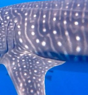 da502c49-31e7-42ae-810e-3afda9a24888