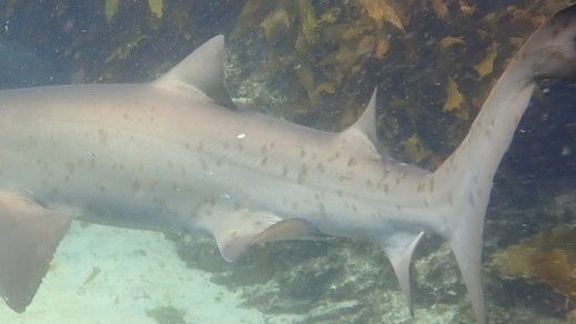 0ae3196e-2c0b-414c-be04-3aea691c3dfb