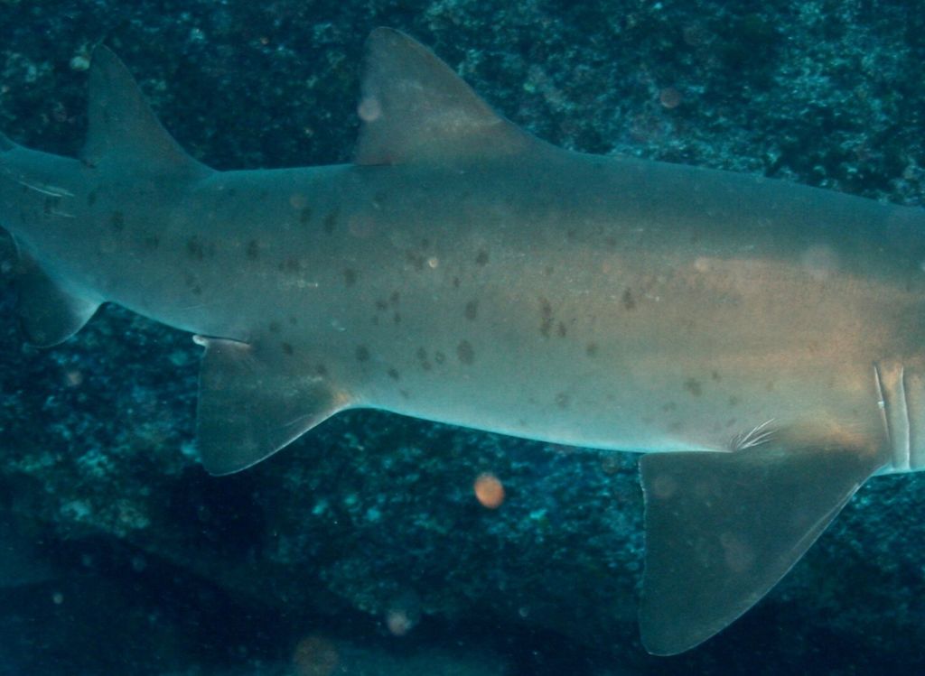 be7af0e0-9358-4168-9230-979c8df5832f