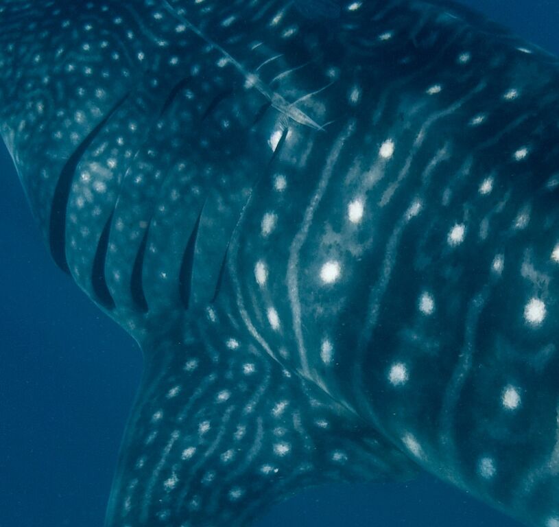 84a1949b-07ee-472a-9e4c-f354646ecac9