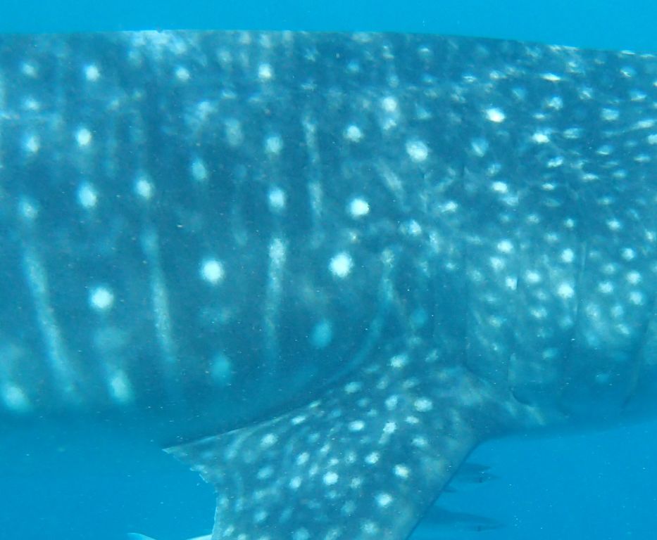 bcfa8c0f-89cb-4ea5-be0a-3696477ee127