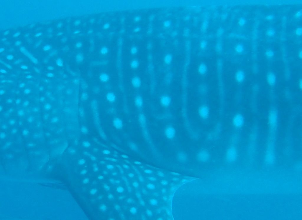 bcfa8c0f-89cb-4ea5-be0a-3696477ee127