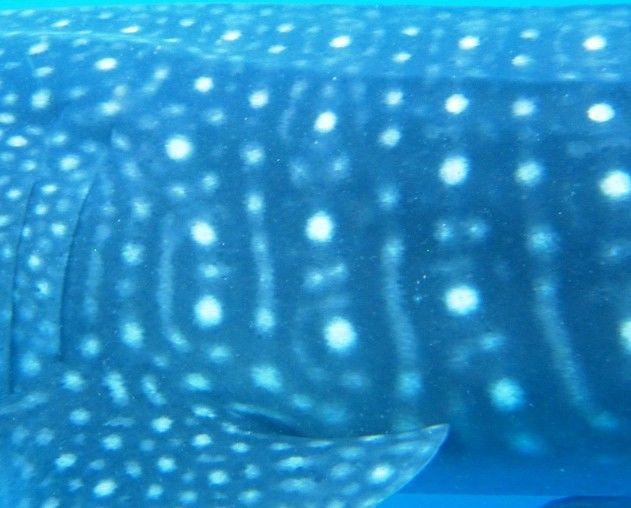 316c8d74-e5e7-4674-8818-681fccf94259