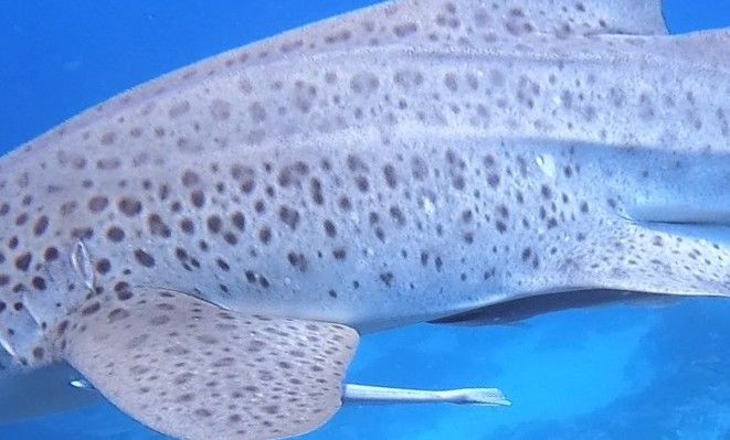 c7b1e7a4-38b0-46d1-8cc3-73570ad9913b