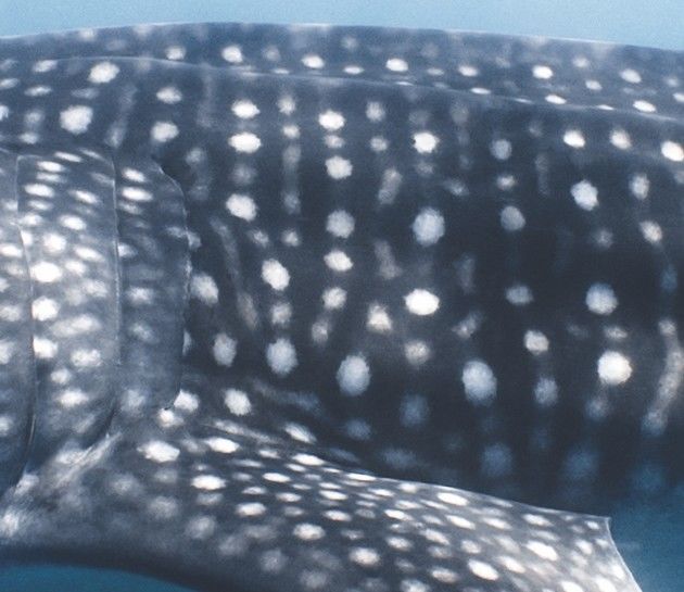 a1e789c1-d0dc-4178-bd06-4facc8909540