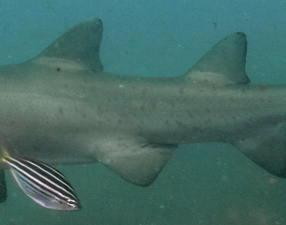 8e9d659c-4190-4481-a24a-5f6e8cfae6bc