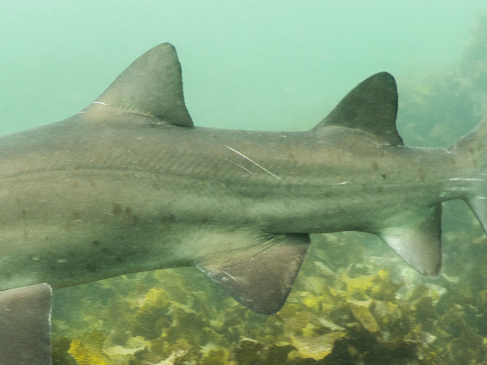 d8cfac16-21fd-4dea-b7cf-90ad1a162959