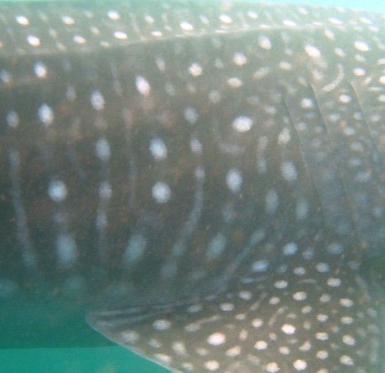 37b79719-e641-4bce-a479-85378e5d23a7