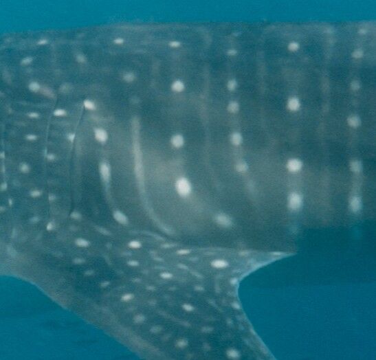 f925834a-f37c-48ac-b9d1-c3992a2010a8