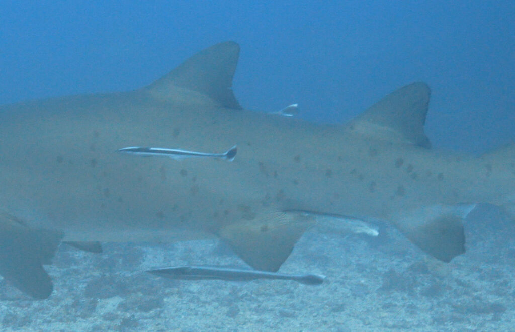 75e921fa-f056-4fce-bd79-986d7184fdbf