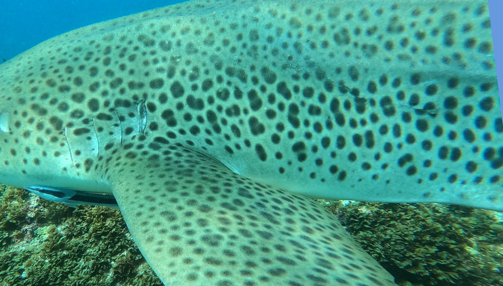 ccb08773-001e-4be7-bd97-a417e4737a33