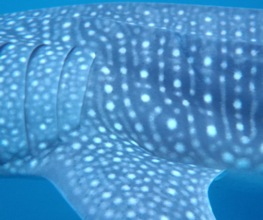 75975726-18ac-4ab7-b2d8-ef5e262159d2