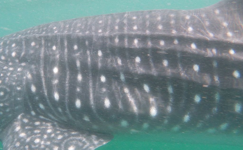 17144daa-32ba-48a0-b9a9-f4349556bc0e