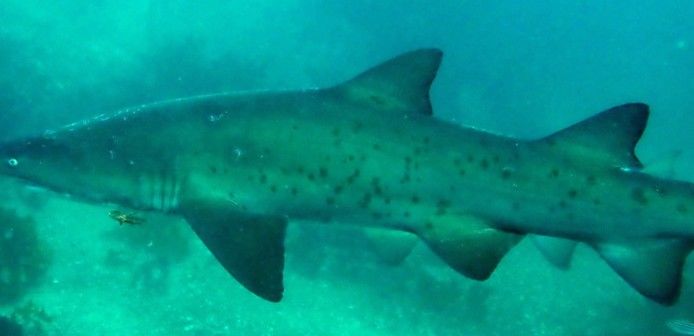 835b77aa-9e1e-4e36-af9a-60887300d937