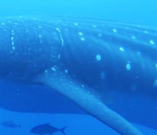 f74b7596-afd2-41e0-9fa0-e8b203ea1879