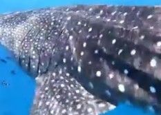 73d10c12-c0e4-414b-a17d-ae0ca073f18e