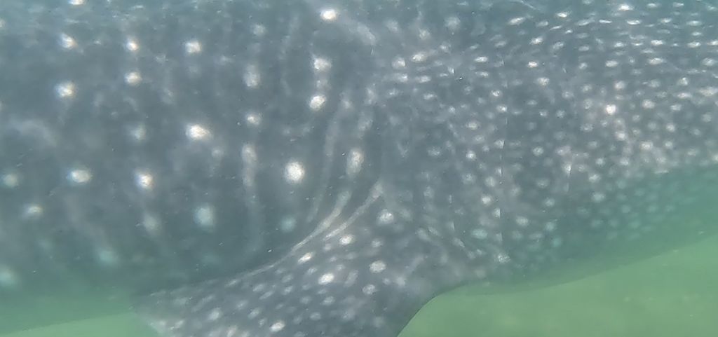 26daf2e4-d752-44f2-9158-a5e06bd33fc3