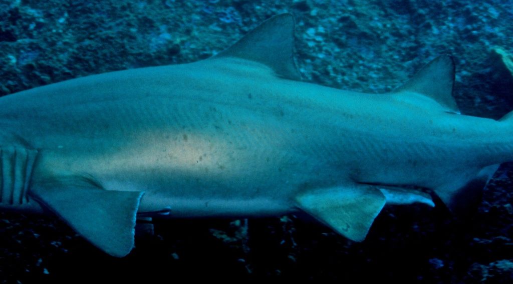 fc33ab70-fedb-4cde-84f4-73f9c5cd1b2f