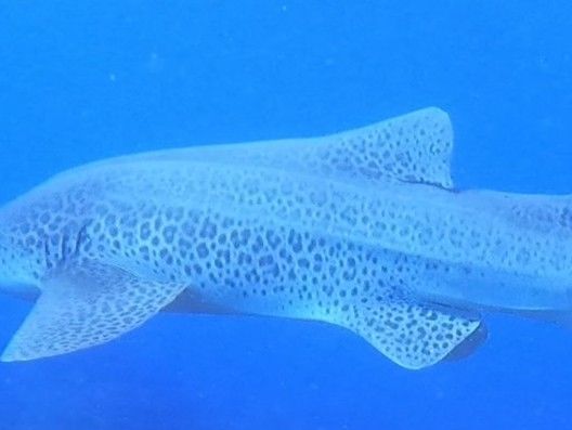 9d9a4794-451c-46ae-b77b-6b02fca96889