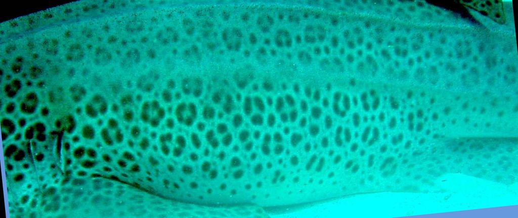 7950596d-3754-4da5-8839-f11b3f1fba79