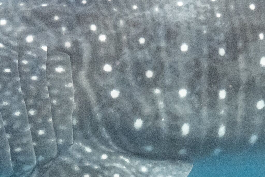 84d5aa59-86d6-4f95-aab4-0b88bcc16855