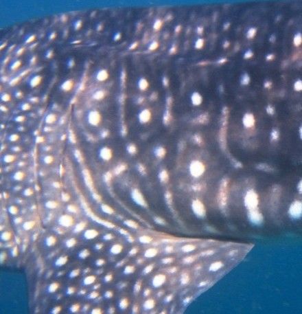 f4050274-613f-4206-aadf-cb5b53e61ad7