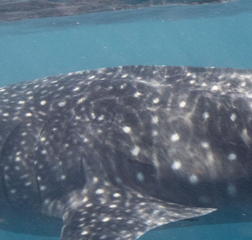 0711061b-1dd3-4bfd-9127-f51677fe72d5