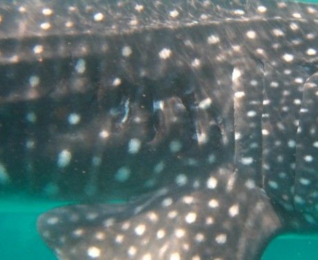 51634214-660f-4ad4-a3a0-1ed099bdfa81