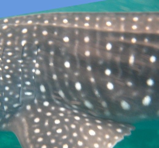 51634214-660f-4ad4-a3a0-1ed099bdfa81