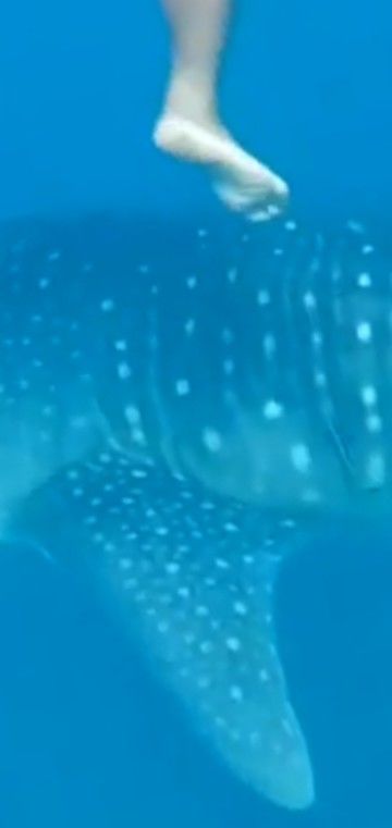 b5376757-b68e-4644-af3d-60db446b8d0a