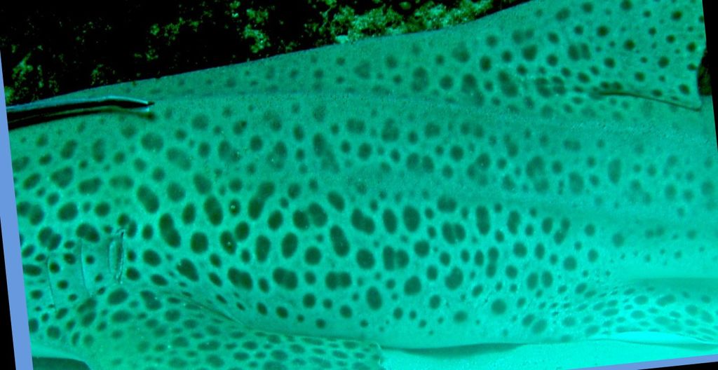 14079536-964c-428c-aadf-bea19ea59b23