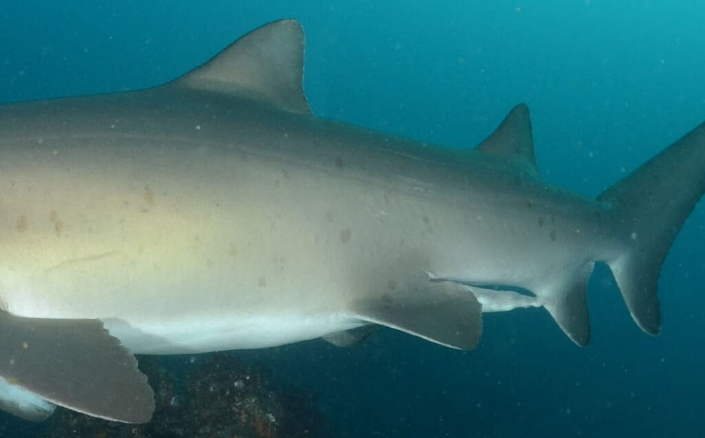 be6cd894-0b07-4ec8-bf2f-a754fc360652