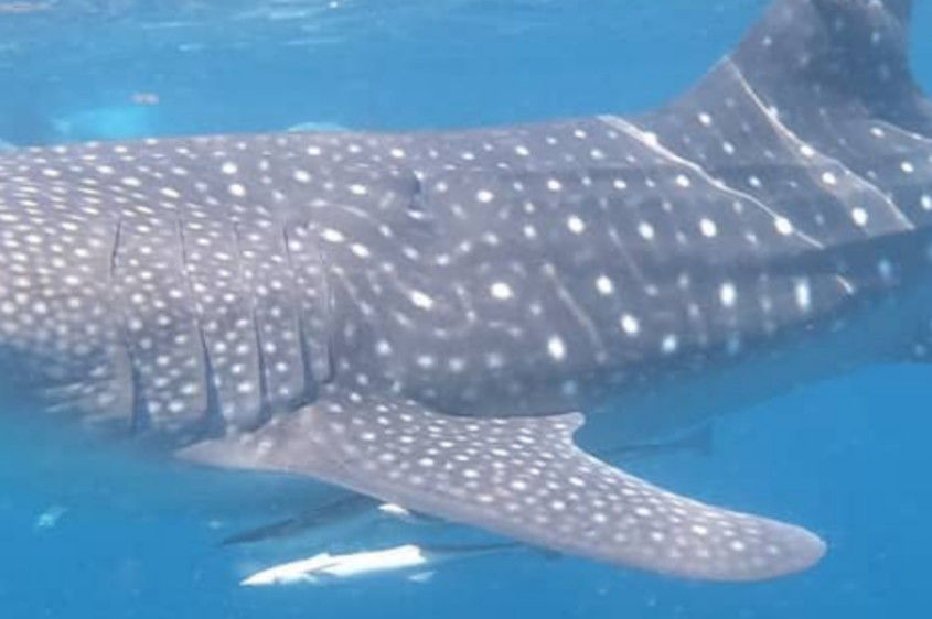 c5362d37-0d78-4eec-b43f-1ff5997dd2d8