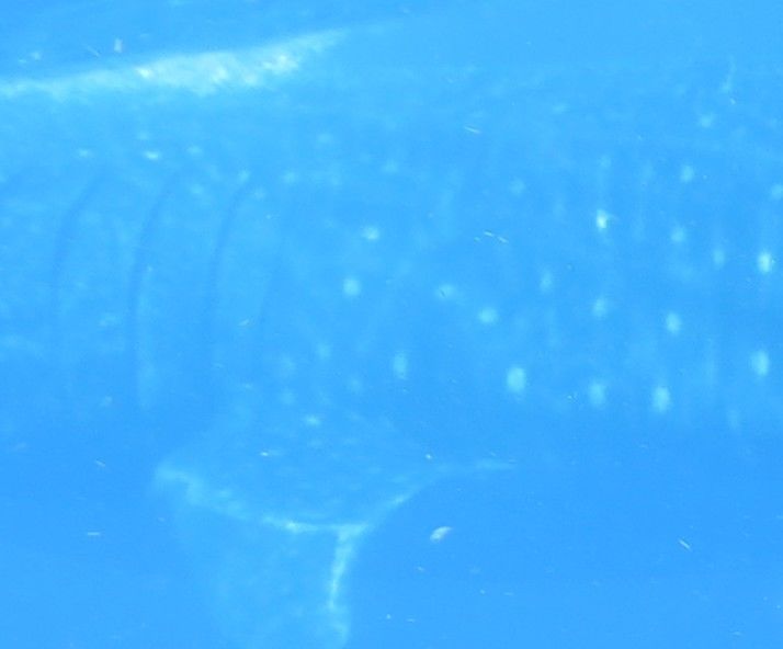 016b73cb-0ea1-4be5-899b-7a5cc2618868