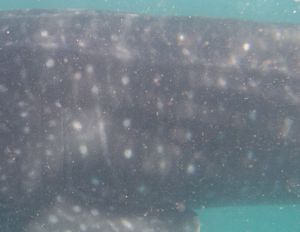 804d587f-b681-4260-8222-c4b70b52cf84