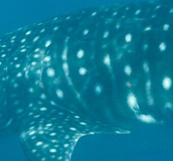 58f40b25-7269-4e8f-b6bf-8bd9a0629066