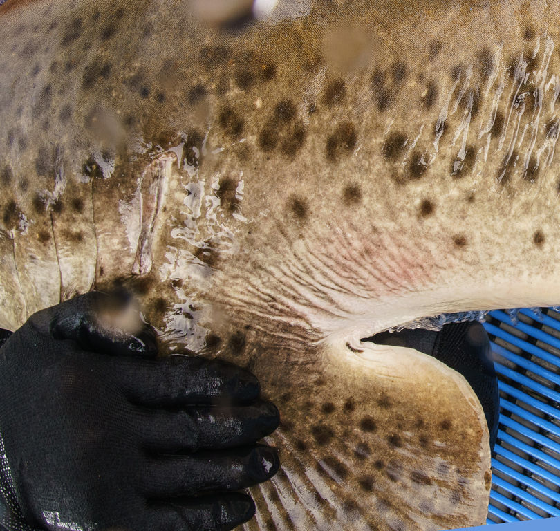 40a71e3d-e5ac-4e5b-9e32-c334b4b74921