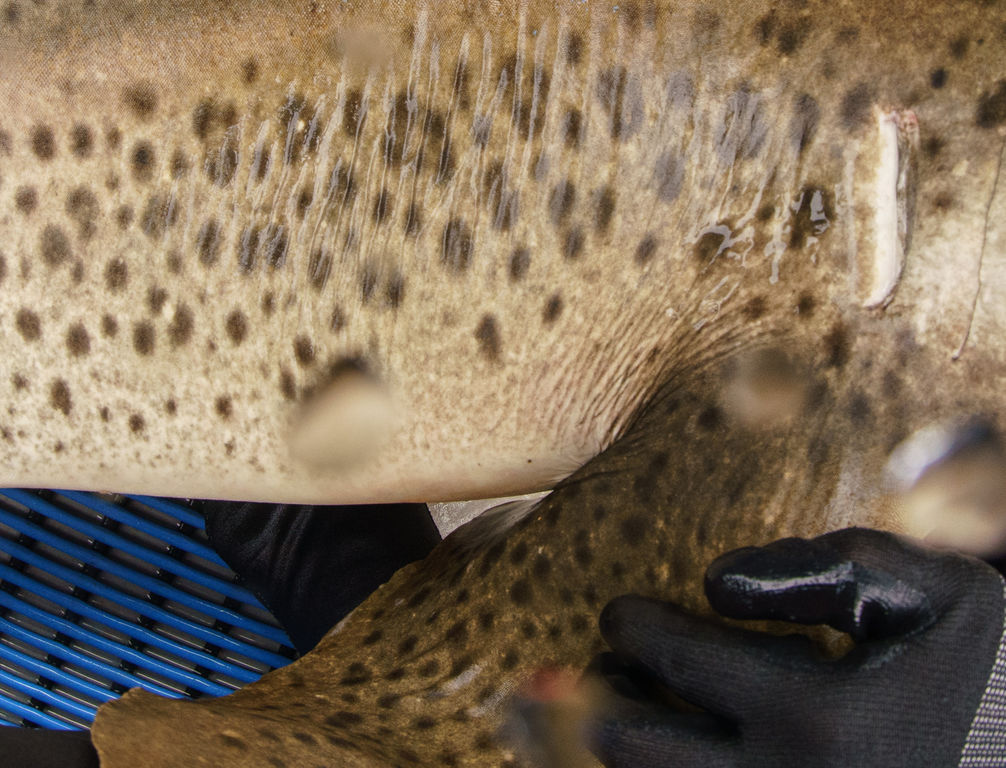 40a71e3d-e5ac-4e5b-9e32-c334b4b74921