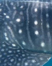 34c8cf45-478e-4c43-a448-b9b7ac3a9a6e