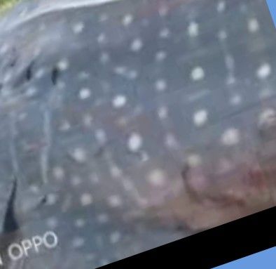 49f484fa-26e5-4c83-a25c-75dd925dbebf