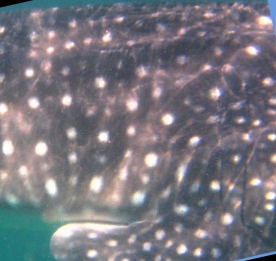 76f2f4b5-0c79-4b11-bba6-4c689d869fdb