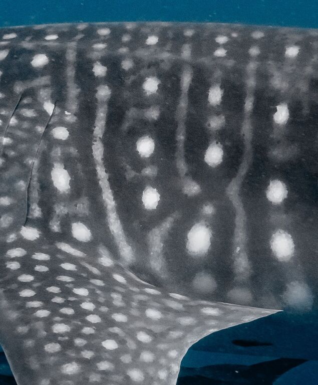 f07cad4f-3f39-4e03-a535-0749b70c2fec