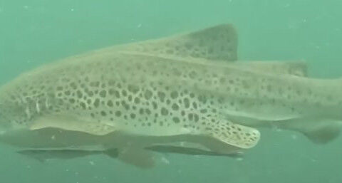 f82157f5-1499-4c04-baaf-b7ed0f416e4a