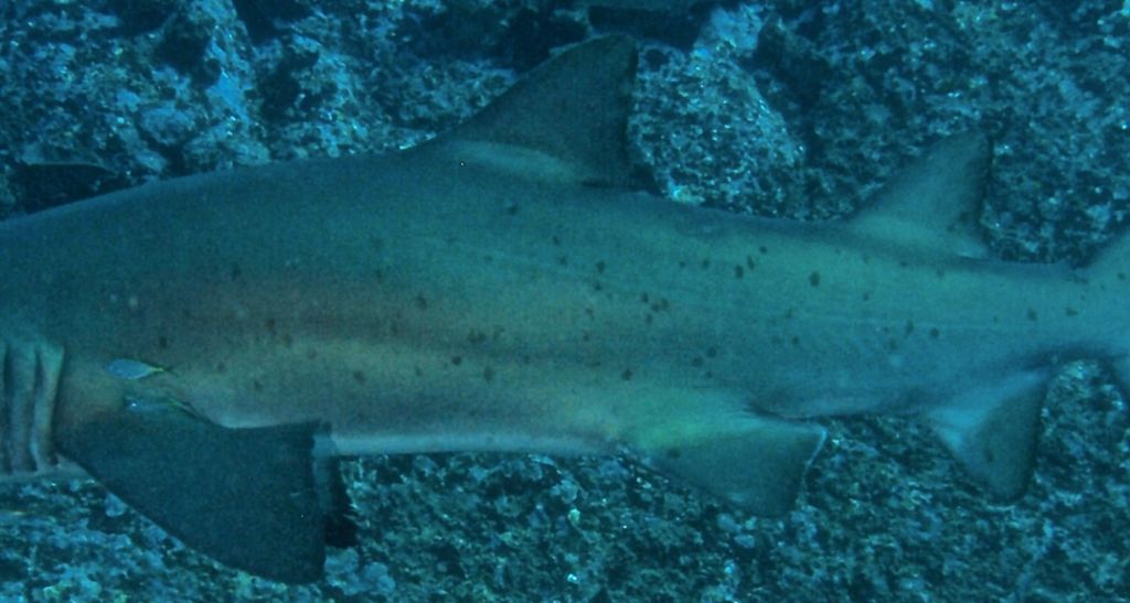 a9b7f495-aaa7-4913-a880-0ce6963592cc