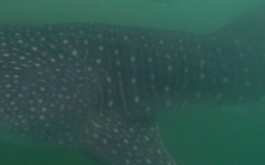 e350ab59-e474-4b0a-8ae6-0d2fd740e077