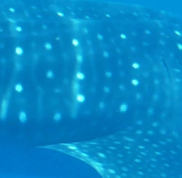 f7b1564c-0382-4524-8dcd-53e13f271cc8