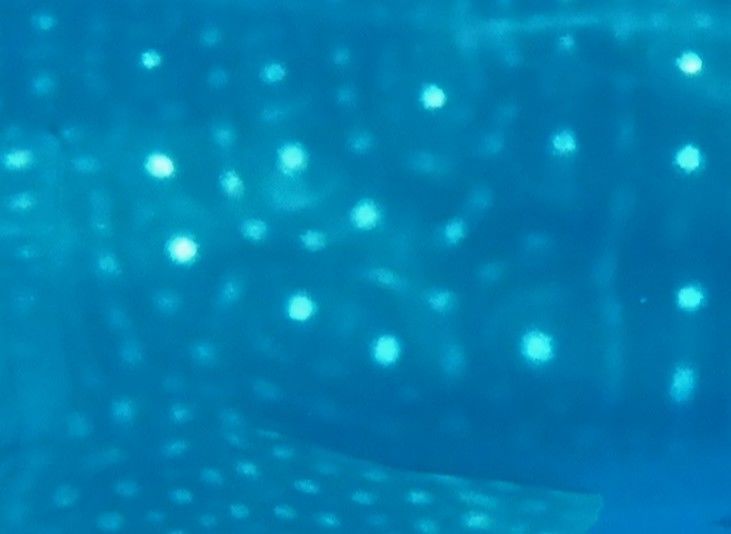 f7b1564c-0382-4524-8dcd-53e13f271cc8