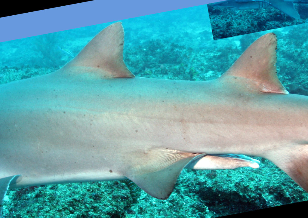 ebcce368-b530-4d50-8201-55705676c5f2